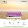Paper Plate Gloss - 5x6 inch Size